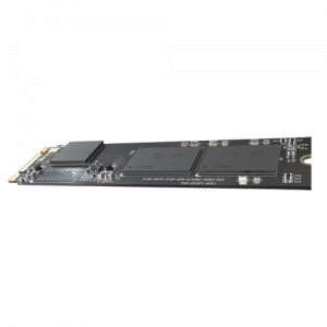 HS-SSD-E100NI-1024G-2280